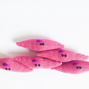 Knit your own Smooth Muscle Cell (pdf knitting pattern)