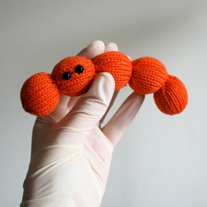 Knit your own Streptococcus Chain pdf knitting pattern image 2