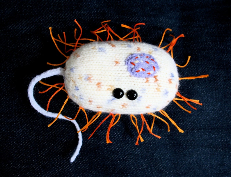 Knit your own Squeaky Bacteria Bacillus pdf knitting pattern image 2
