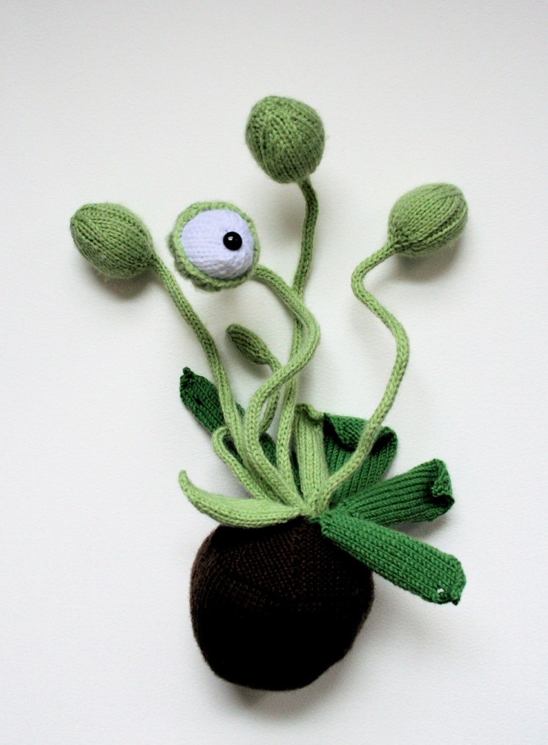 Knit your own cyclops pot plant pdf knitting pattern image 4