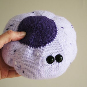 Knit your own White Blood Cell (Macrophage) (pdf knitting pattern)