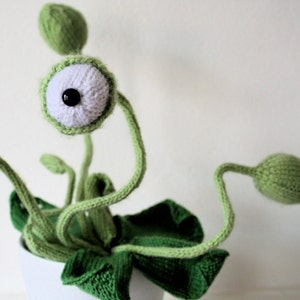 Cyclops Pot Plant Knitting Pattern (pdf file sent by email)