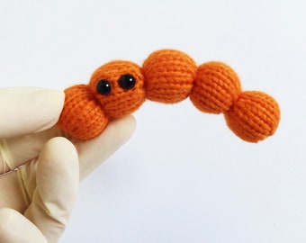 Baby Streptococcus Chain