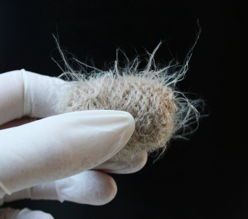 Magnetic Microbe