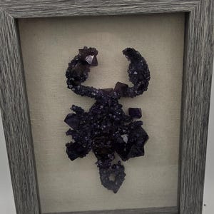 Real crystallized scorpion in frame