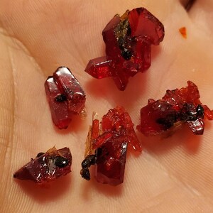 Jar of crystallized real ants