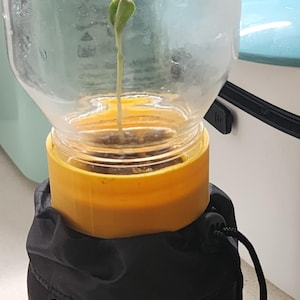 ダブルエンドジャーリングとプランターカップ。水耕栽培の苗や小さな植物に最適です。2つのサイズ（レギュラーサイズと広口メイソンジャーなど）