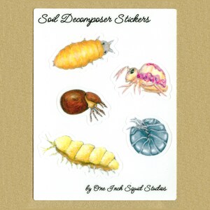 May include: Five colorful stickers featuring illustrations of soil decomposers. The stickers include a millipede, a springtail, a pill bug, a beetle, and a segmented worm. The stickers are labeled "Soil Decomposer Stickers" and "by One Inch Squid Studios".