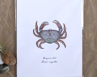 Dungeness Crab Print