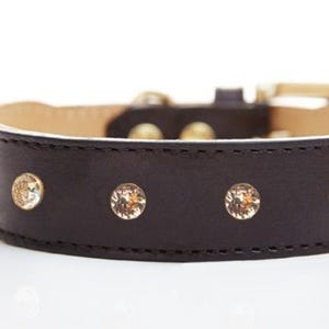 Könnte beinhalten: Ein dunkelbraunes Leder-Halsband für Hunde mit goldfarbener Hardware und funkelnden, runden Kristallverzierungen. Das Halsband hat einen klassischen Schnallenverschluss und eine weiche, hellfarbige Innenseite.