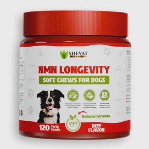 Suplemento de longevidad NMN para perros, vitaminas antienvejecimiento, masticables suaves, salud celular, apoyo articular e inmunológico, sabor a carne, Pet Vitality, 120 unidades.
