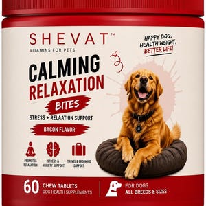 Pode incluir: Um recipiente de plástico vermelho de comprimidos mastigáveis Shevat Calming Relaxation para cães. O rótulo apresenta um golden retriever sentado numa almofada escura, com o texto "60 chew tablets", "bacon flavor" e ícones de apoio ao stress.