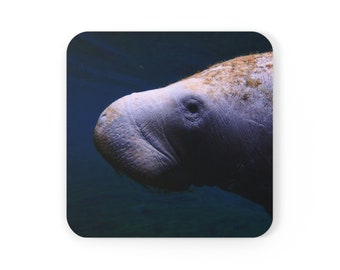 Manatee Coaster Set: Sjöko, Strandhusdekor