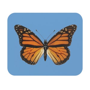 Pode incluir: Uma borboleta monarca com asas laranja e pretas sobre um fundo azul claro.