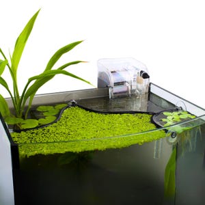 May include: A clear plastic aquarium filter with a black base sits on top of a glass aquarium. The aquarium is filled with water and green plants. The filter has a clear tube that extends into the water.