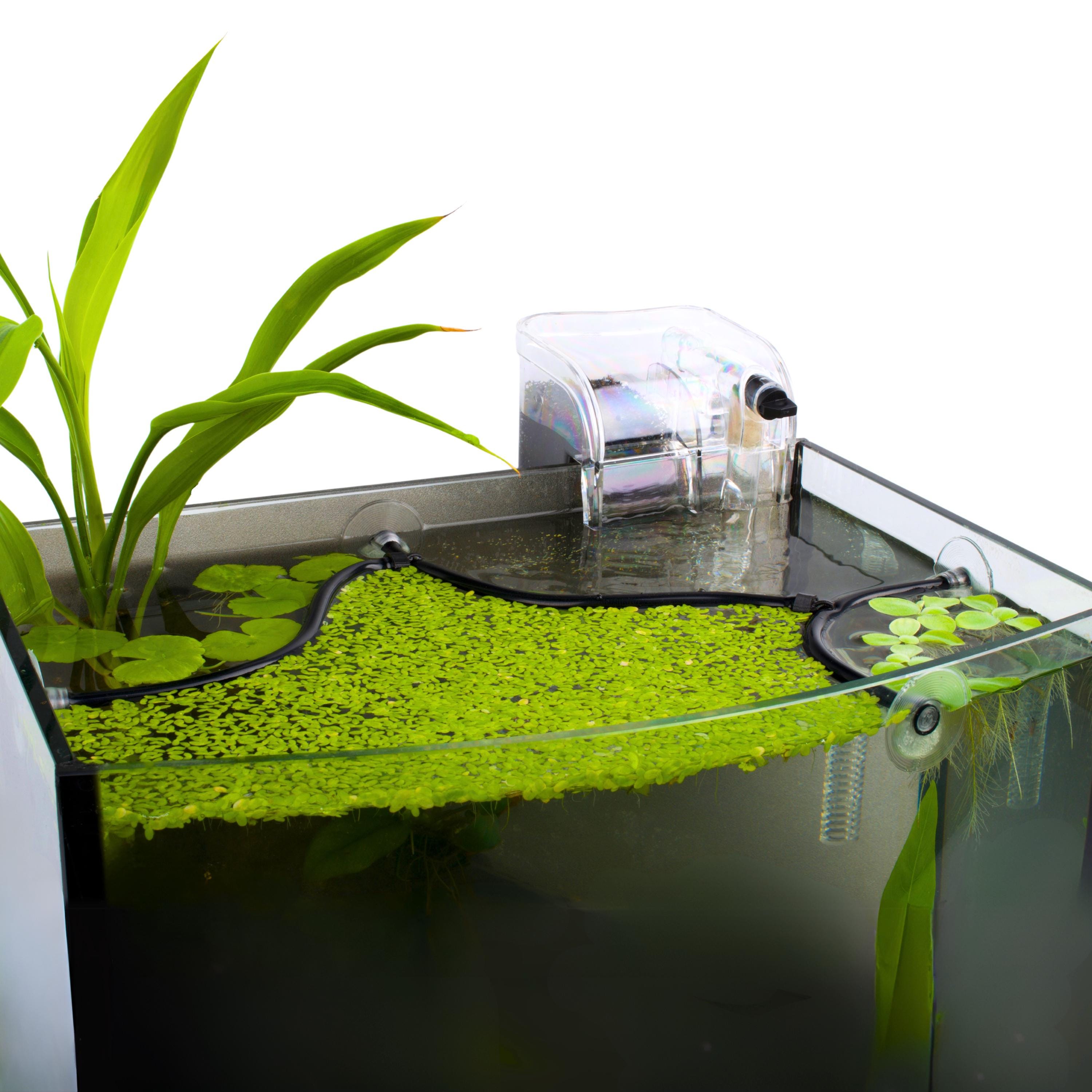 Smallest Floating Plant Barrier for Nano Tanks (<10g); Auto Adjusts to Any Height; No Suction Cups- Capillary Discs Cling and Slide (Black)