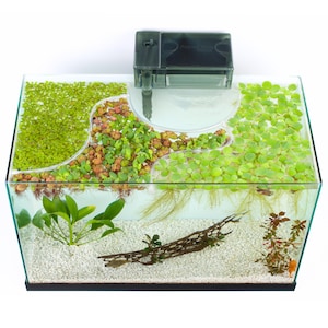 May include: A clear glass aquarium with a black filter on top. The aquarium is filled with water and has a variety of green plants, a brown driftwood branch, and white gravel.