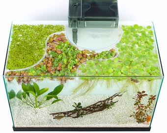 Smallest Floating Plant Barrier for Nano Tanks (<10g); Auto Adjusts to Any Height; No Suction Cups- Capillary Discs Cling and Slide (Clear)