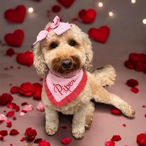 Valentines ruffle dog scrunchie Bandana-