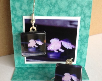 Glass Tile Photo Earrings - Albert the fish