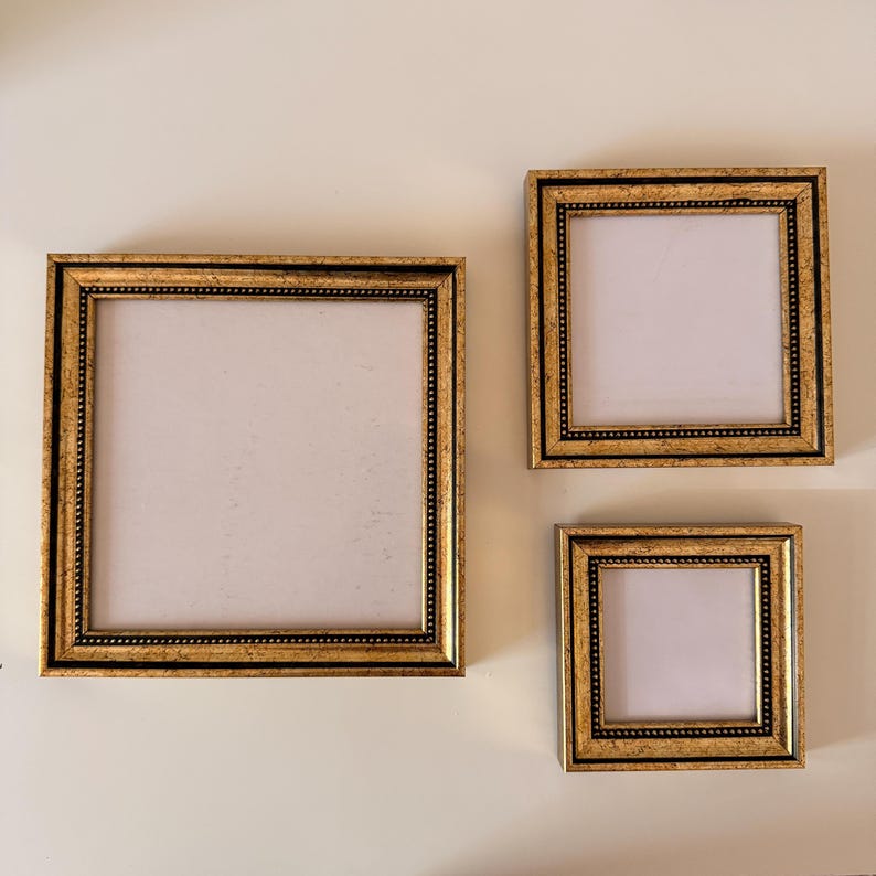 Includes Frames Only