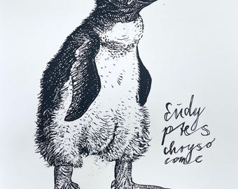 pinguïn