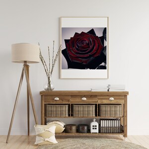 Cuadro de rosas rojas, elegante arte mural, noble arte de rosas negras, decoración de pared mística, elegante póster de rosas negras, impresión moderna