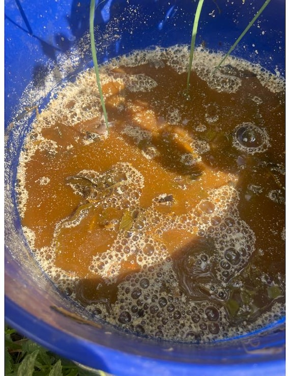Organic Fermented Plant Juice (FPJ) Plant Fertilizer 128oz/ 1 Gallon. - Etsy