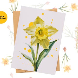 Cartão de felicitações de flores de narciso para impressão, cartão de felicitações de lindas flores, cartão para impressão em casa, cartão de felicitações para impressão, cartão digital para impressão