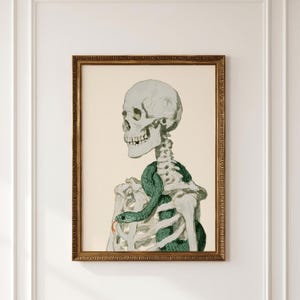 Könnte beinhalten: Ein gerahmter Wandkunstdruck, der den Oberkörper und Schädel eines hellgrauen menschlichen Skeletts mit einer dunkelgrünen Schlange zeigt, die sich um den Brustkorb windet. Die Schlange hat eine rote gespaltene Zunge. Cremefarbener Hintergrund, Goldrahmen.