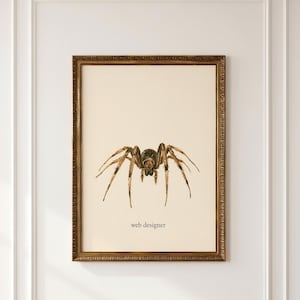 May include: A framed wall art print featuring a detailed illustration of a brown spider centred on a cream background. Below the spider, the text "web designer" is printed in a simple black font. The artwork is enclosed in an ornate gold frame.