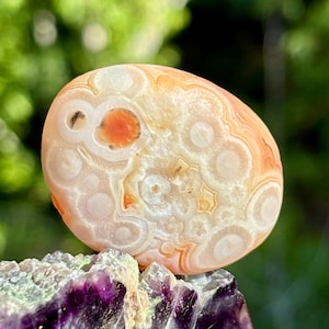 May include: A polished agate stone with a unique pattern of concentric circles and bands in shades of peach, cream, and orange. The stone is resting on a bed of purple and white crystals, with a blurred green background.