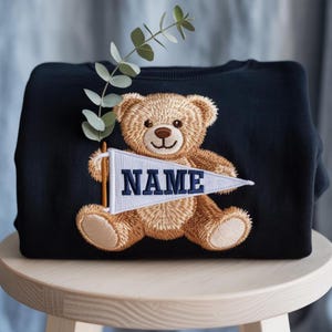 GEBORDUURDE teddybeer wimpel sweater, aangepast college-borduurshirt, NYU School Spirit ronde hals, trendy campustrui, afstudeercadeau