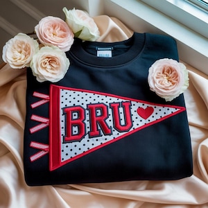 GEBORDUURD College Wimpel Sweatshirt, Custom College Borduurwerk ronde hals, Shirt School Spirit, Campus Life-trui, University Pride-top