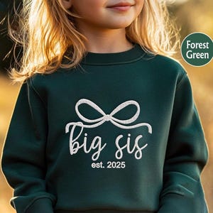 EMBROIDERED Big Sis Sweatshirt, Big Sis Est 2025, Big Sis Toddler Sweatshirt, Pregnancy Announcement Sweatshirt, Sibling Sweatshirt