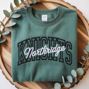 Sudadera bordada personalizada con la mascota de tu escuela, cuello redondo del equipo universitario, regalo de la mascota del equipo, camiseta con el logotipo de la escuela, ropa deportiva con letras mayúsculas