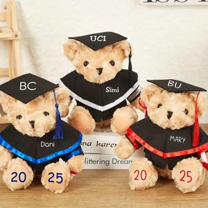 Aangepaste afstuderen teddybeer, afstuderen beer in vrijgezellenjurk, afstuderen aandenken, 2025 afstudeercadeaus, kleuterschool afstudeercadeaus voor afgestudeerden