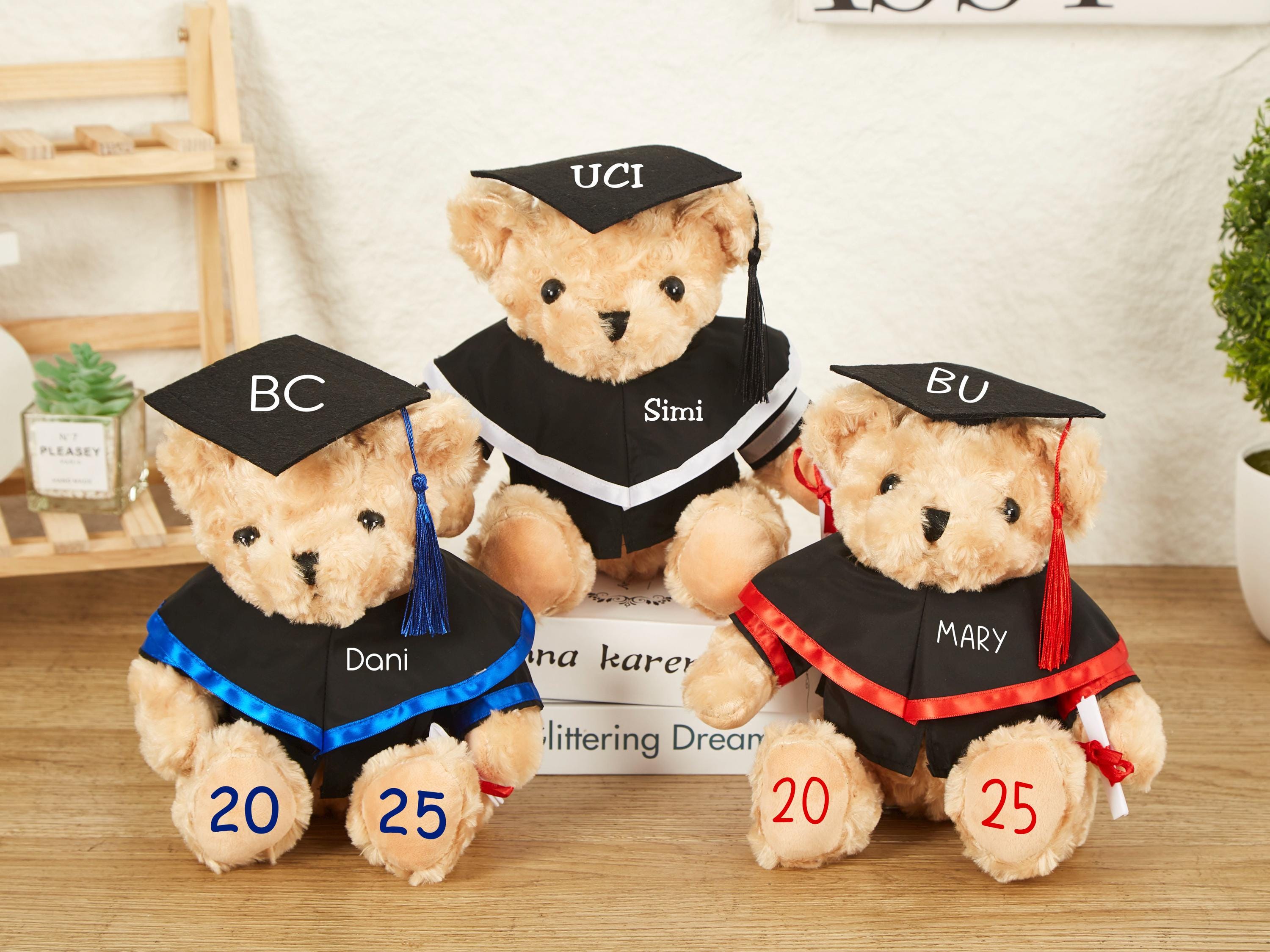 Custom Graduation Teddy Bear,Graduation Bear in Bachelor Gown,Graduation Keepsake,2025 Graduation Gifts,Preschool Graduation Gifts for Grads