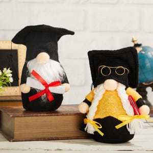 High School Gnome, Class of 2025 Graduation Gonk, Graduation Gnome by Home Gnome Store, tafeldecor kabouter, afstudeercadeau, cadeau voor dochter