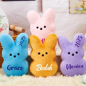 Gepersonaliseerde gluurkonijn, zachte paashaas, peeps-haas pluche, aangepaste konijnenpop, paashaas, pluche paashaas, speciaal cadeau voor kinderen