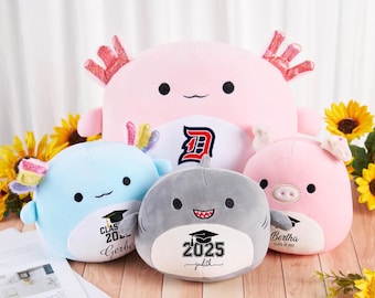 Graduate Soft Toys Custom Name,Custom Graduation Squishmallows,Colloge Logo Plush,Graduation 2026,Preschool Graduation,Class of 2026