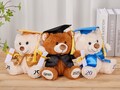 Custom Graduation Teddy Bear 2025,Plush Graduation Bear,Preschool Graduation,College Grad Gift,Plush Graduation Gift,Graduation Gift For Her