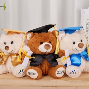 Custom Graduation Teddy Bear 2025,Plush Graduation Bear,Preschool Graduation,College Grad Gift,Plush Graduation Gift,Graduation Gift For Her