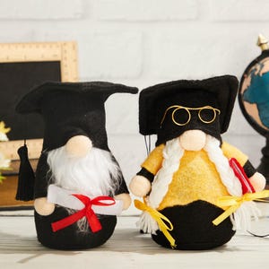 Afstudeerkabouter, kabouter met kwastje, afstudeerkabouter met vlecht, gelaagd dienblad kabouter, cadeaus voor de klas van 2025, afstudeercadeau voor dochter