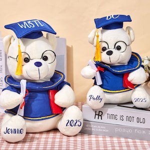 Gepersonaliseerde afstudeerteddybeer, pluche beer met mortelbord en bril, afstudeerbeer, afstudeerherinnering, dr.beer, aangepast cadeau voor afgestudeerden