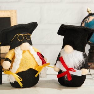 Afgestudeerde kabouter met kwast, universiteitskabouter, afgestudeerd 2025, gevulde kabouterdecoratie, kabouter middelbare school, felicitatiekabouters, afstudeercadeau voor haar