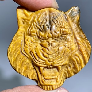 Hand Carved Tiger&#39;s Eye Jasper Skull: Crystal Home Decor