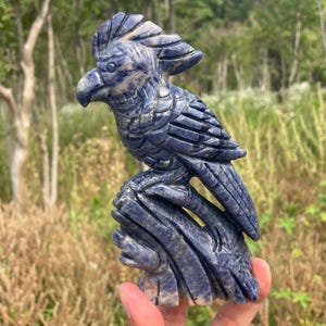 6.1&#39;&#39;+Natural Sodalite Parrot skull,quartz crystal,hand carved,Crystal bird Skull,Home Decoration Crystal Gifts YW-5