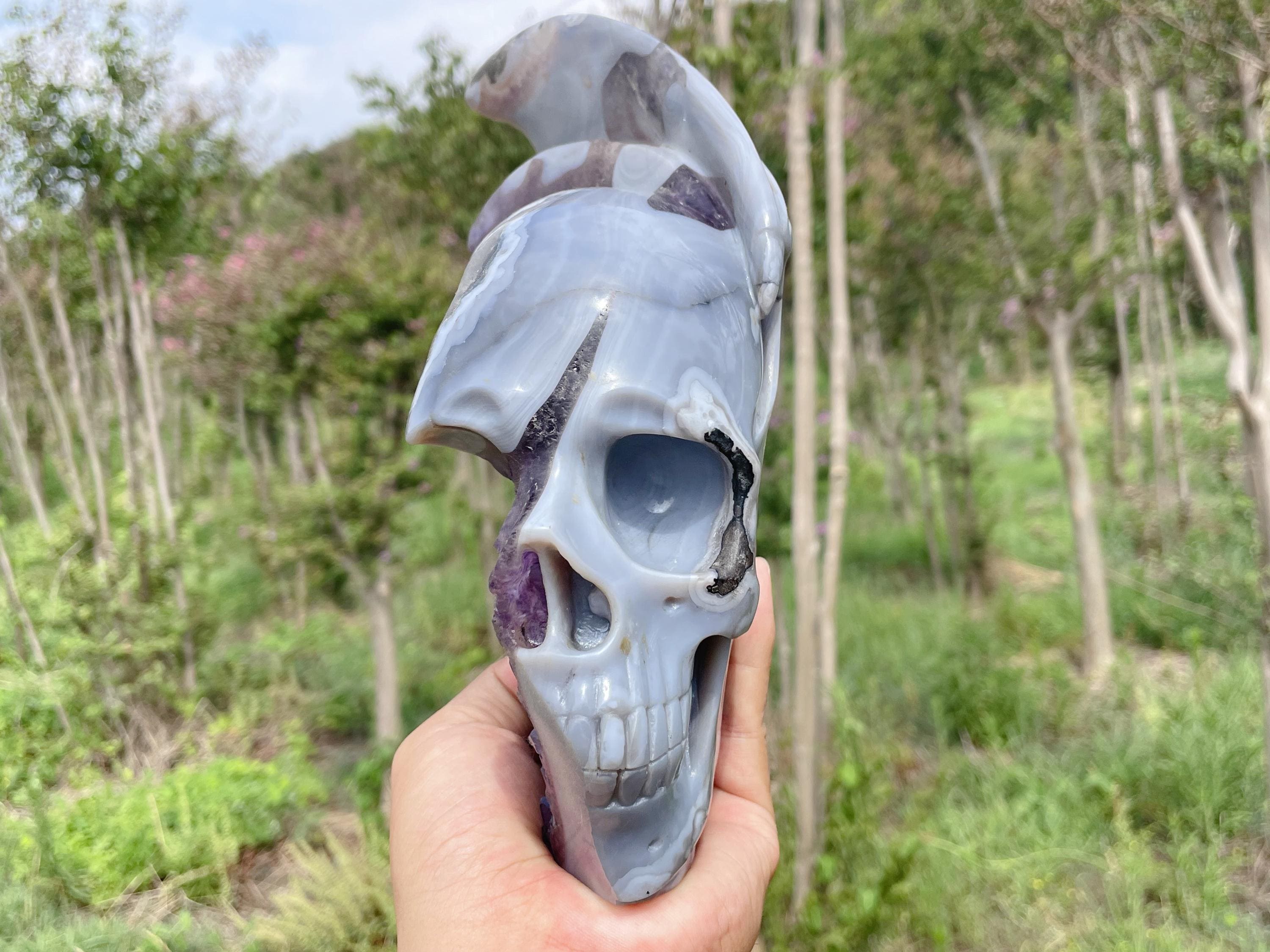Amethyst Agate Geode Wing Skull: Hand Carved Quartz Crystal, 9.2