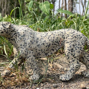 Natural Quartz Leopard Skull: Balmatin Crystal, Hand Carved